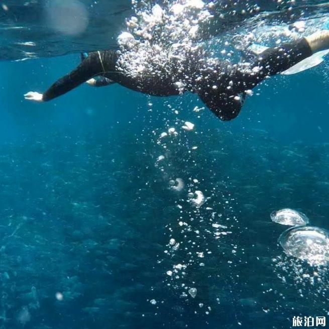马布岛婆罗洲度假村潜水如何 马布岛婆罗洲潜水度假村攻略