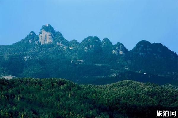 广元牛头村柿子节在什么时候举办 附2019年柿子节时间