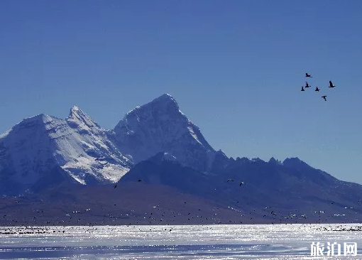 亚东旅游景点攻略