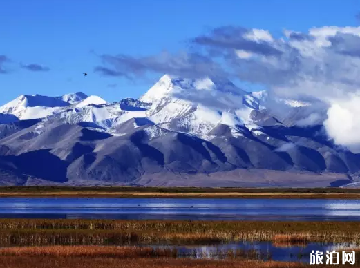 西藏的山怎样的