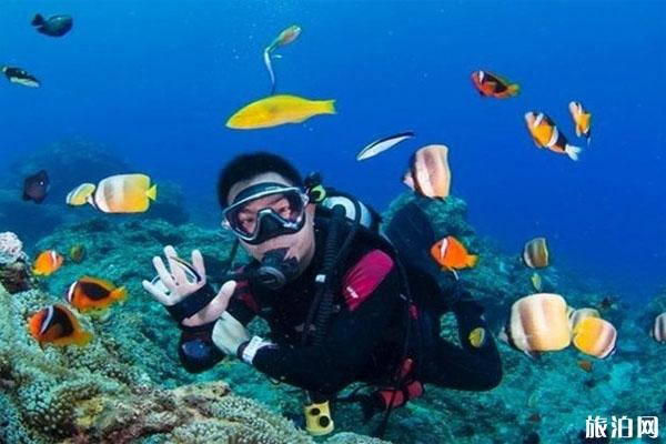 水肺潜水和自由潜水的区别 水肺潜水最大深度