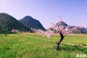 国内这四个小众旅游景点