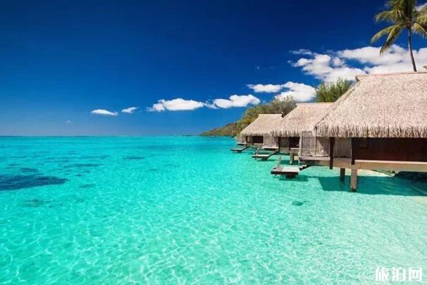 马尔代夫铂尔曼马姆塔岛游玩攻略 铂尔曼马姆塔岛包岛多少钱 潜水