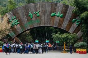 天目湖南山竹海景区怎么样 南山竹海游玩攻略