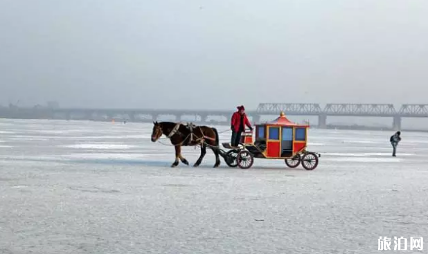 冬天去哈尔滨旅游有哪些景点观看 这些超经典的地方去了准没错