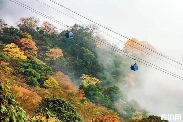 重庆金佛山住宿推荐