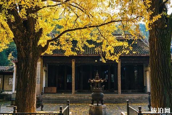 惠山古镇银杏景点在哪