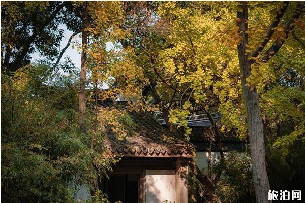 惠山古镇银杏景点在哪