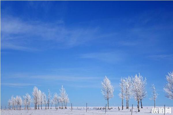 冬天去哪里看雪比较好 中国国内这些地方很推荐
