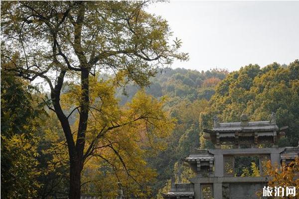 惠山古镇进心正在那里 惠山古镇进心要门票吗