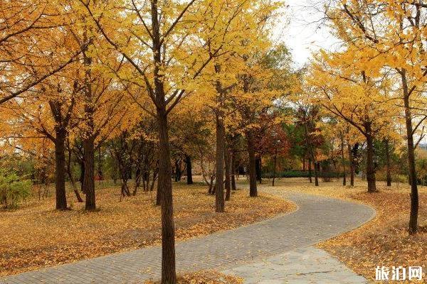 北京植物园赏秋攻略 北京植物园看红叶