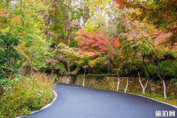 栖霞山门票多少钱 栖霞山游玩攻略