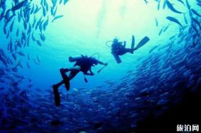潜水去哪里比较好 潜水旅游去哪个国家好