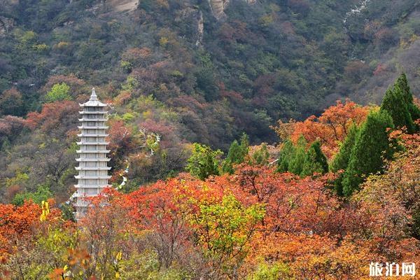 坡峰岭红叶最佳观赏期2019