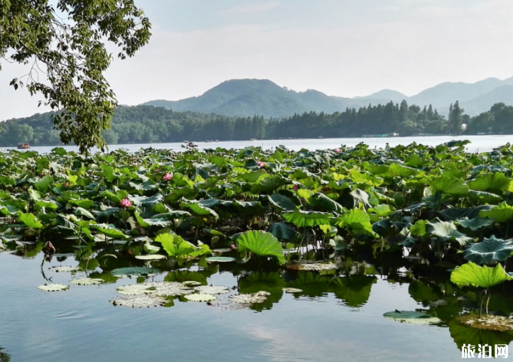 中国最美的五湖是哪些