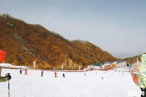 洛陽有什么好玩的地方（燈光秀+滑雪場+音樂噴泉）