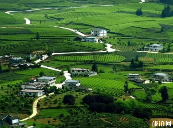 中国最美的六大草原是哪些