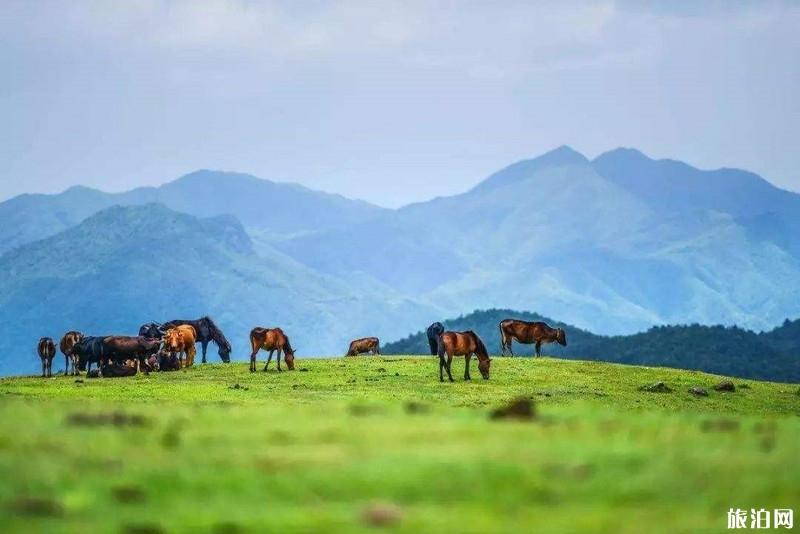 郴州四日游旅游攻略 郴州详细旅游攻略