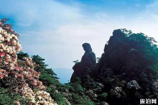 巫山旅游攻略自由行