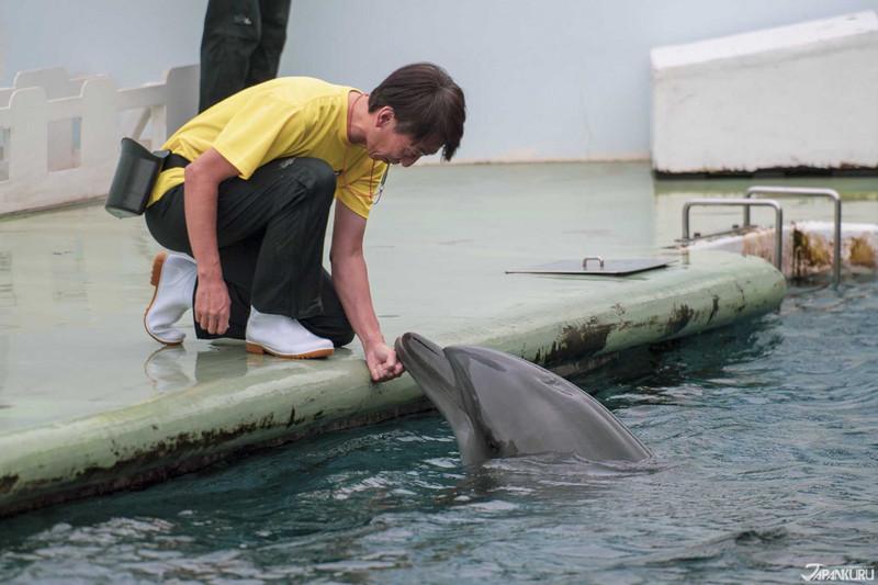 品川水族館游玩攻略 品川水族館有什么好玩的項目