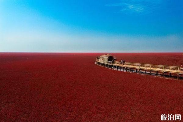 红海滩风景区营业时间 景区特点