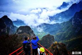 王莽岭景区门票+优惠政策