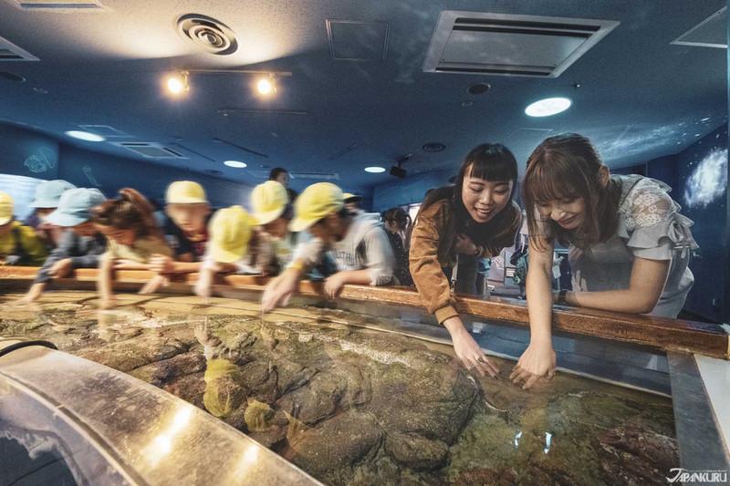 品川水族馆游玩攻略 品川水族馆有什么好玩的项目