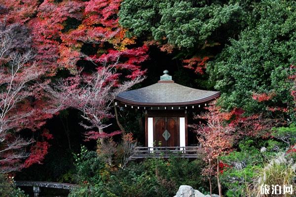 日本最佳旅行時間 日本賞雪地推薦