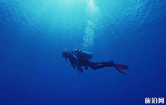 自由潜、水肺、浮潜有什么区别?