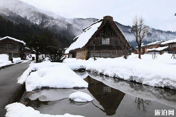 日本白川乡旅游攻略