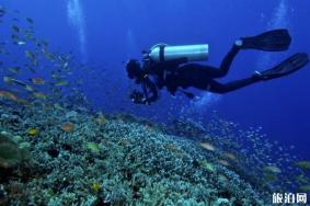 世界上最危险的潜水地有哪些