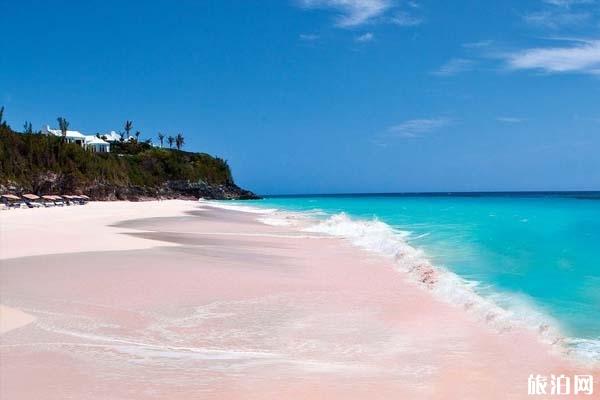 巴哈马粉色沙滩有哪些玩法