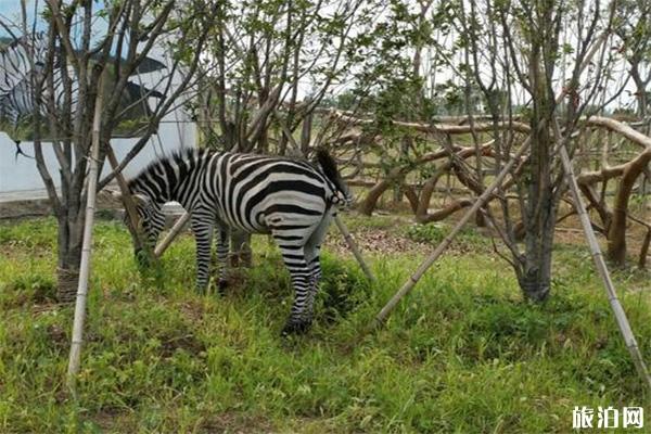 宿州野生動物園一日游攻略