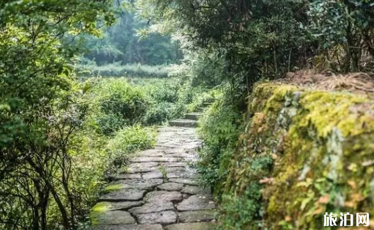 武夷山有哪些景面 门票是多少钱