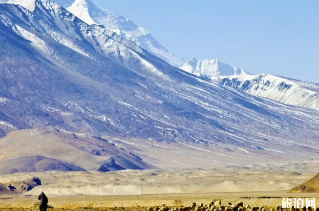 这个冬天去西藏有哪些必去景点