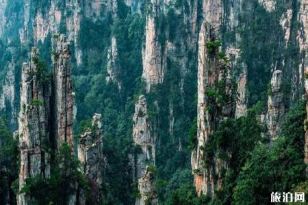 2023天子山旅游攻略 - 门票价格 - 开放时间 - 景区介绍 - 简介 - 交通 - 地址 - 电话 - 天气