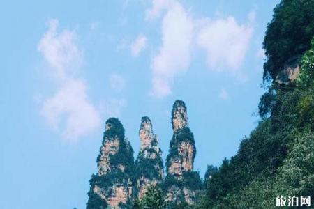 2023张家界十里画廊旅游攻略 - 门票价格 - 开放时间 - 景区介绍 - 简介 - 交通 - 地址 - 电话 - 天气