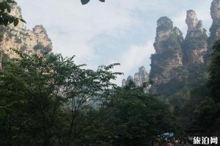 2023张家界十里画廊旅游攻略 - 门票价格 - 开放时间 - 景区介绍 - 简介 - 交通 - 地址 - 电话 - 天气