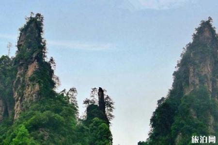 2023张家界十里画廊旅游攻略 - 门票价格 - 开放时间 - 景区介绍 - 简介 - 交通 - 地址 - 电话 - 天气