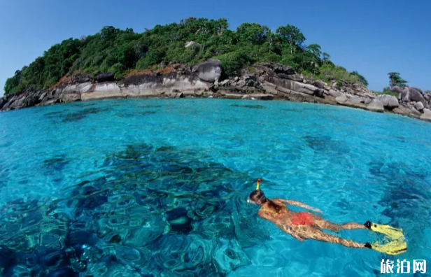 国外有哪些热门岛屿适合浮潜