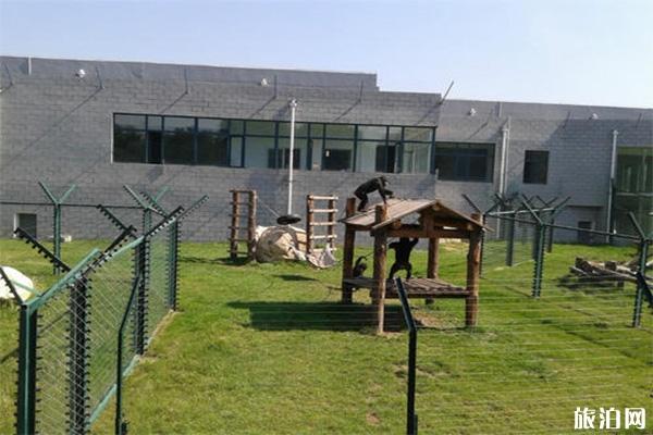 太原動物園門票多少錢