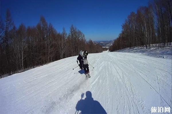 双板滑雪技术详解