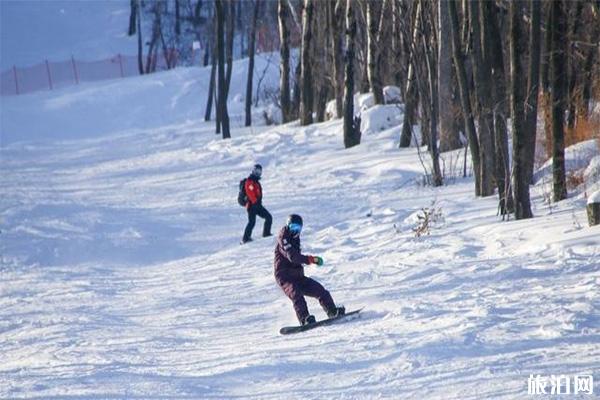 萬科松花湖滑雪場雪道地圖 滑雪滑道選擇