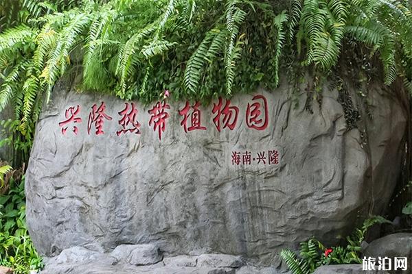 興隆熱帶植物園好玩嗎 興隆熱帶植物園門票 興隆熱帶植物園游玩攻略