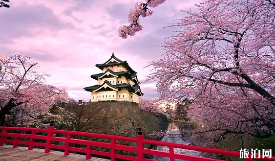 日本哪些地方可以看樱花 日本樱花地推荐