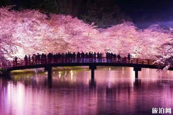 日本哪些地方可以看樱花 日本樱花地推荐