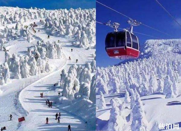 日本滑雪勝地哪個最好 日本滑雪場最有名的是哪些