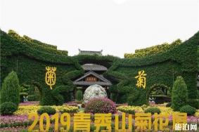 2019青秀山菊花展11月23日开启