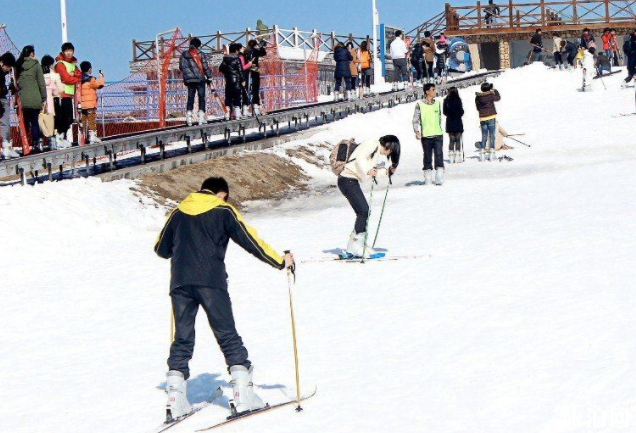 上海周边滑雪场推荐 上海周边有哪些滑雪场