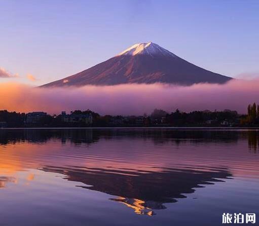 日本8天游要多少钱 日本8天旅游需供花多少钱